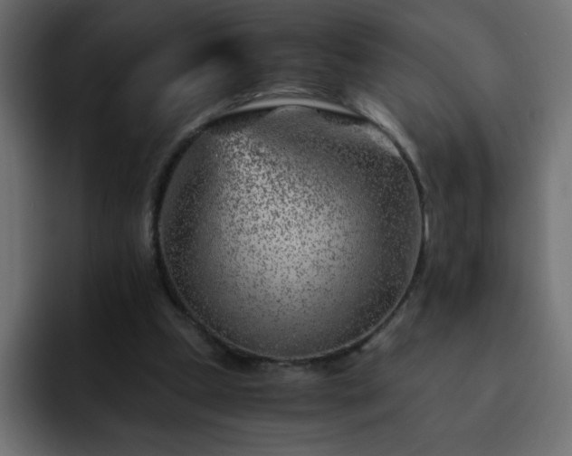 X0000093120249200710031339