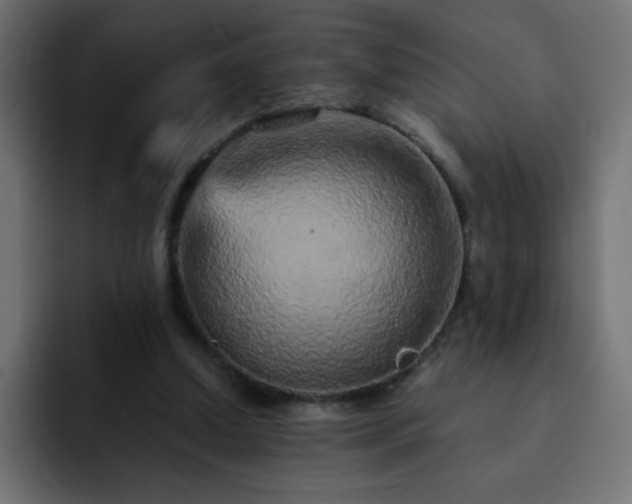 X0000093120250200710031339