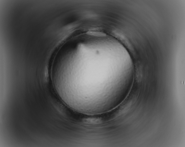 X0000093120251200710031339