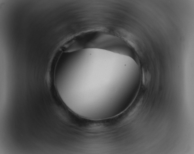 X0000093120252200710031339