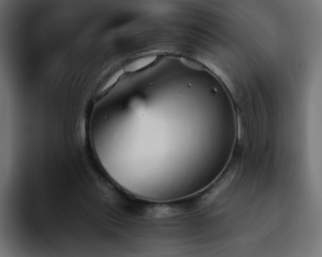 X0000093120253200710031339