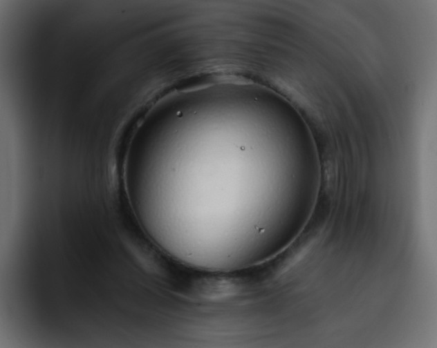 X0000093120254200710031339