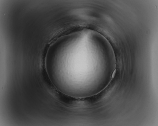 X0000093120255200710031339