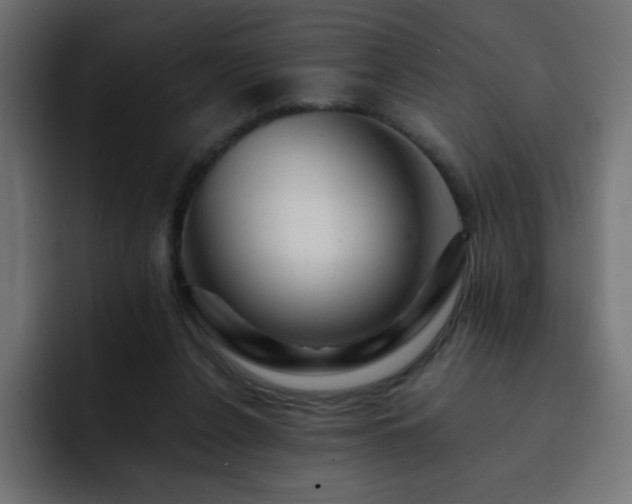 X0000093120256200710031339
