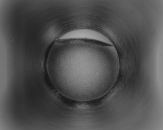 X0000093120258200710031339