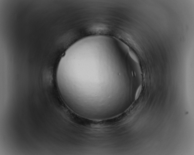 X0000093120259200710031339