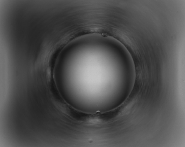 X0000093120262200710031339