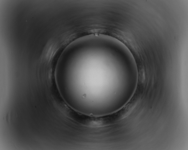 X0000093120263200710031339