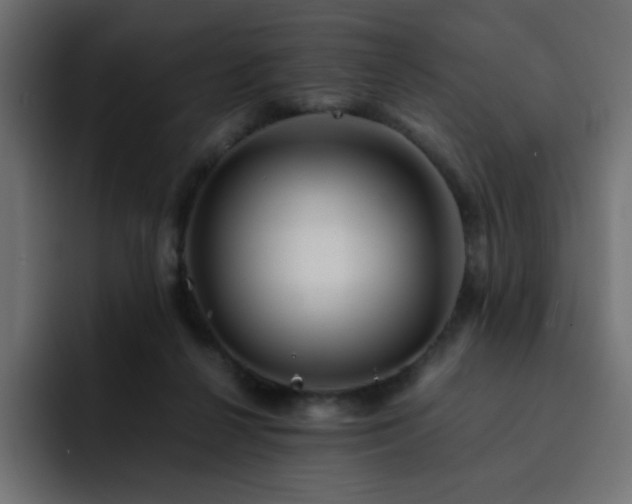 X0000093120264200710031339