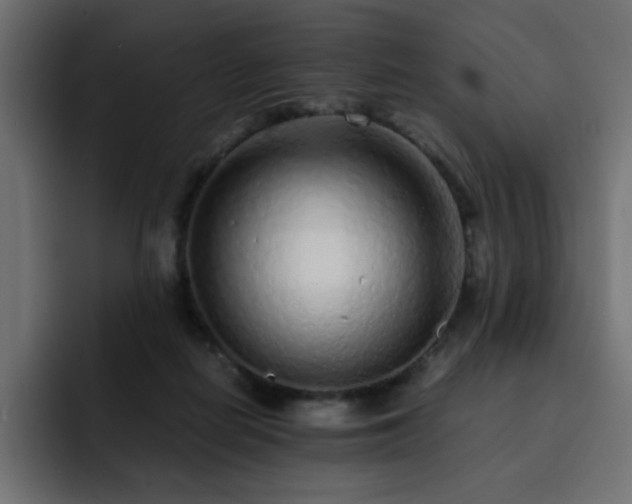 X0000093120266200710031339