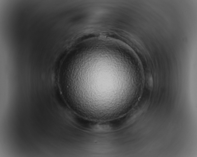 X0000093120270200710031339