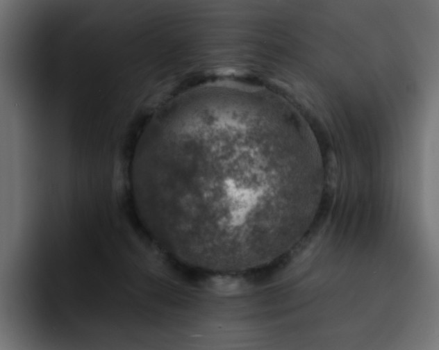 X0000093120272200710031339