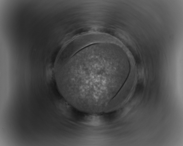 X0000093120276200710031339