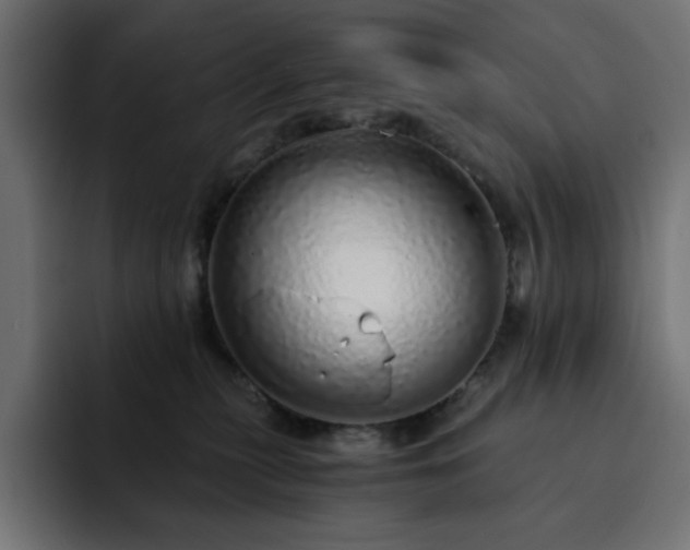 X0000093120279200710031339