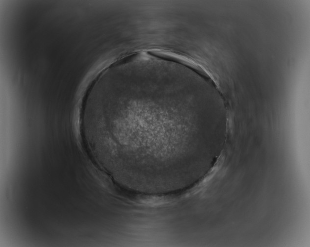 X0000093120293200710031339