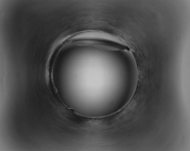 X0000093120294200710031339