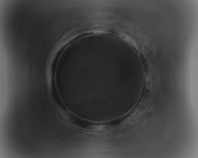 X0000093120295200710031339