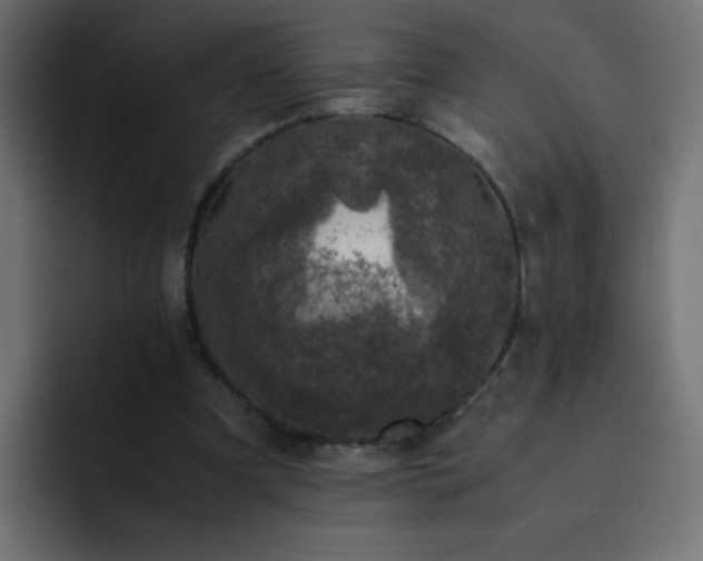 X0000093120297200710031339