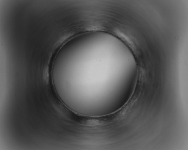 X0000093120298200710031339