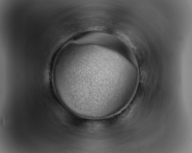 X0000093120299200710031339