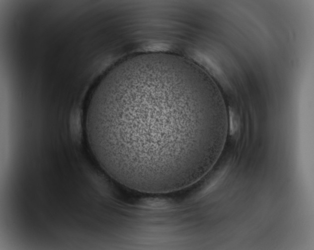 X0000093120300200710031339