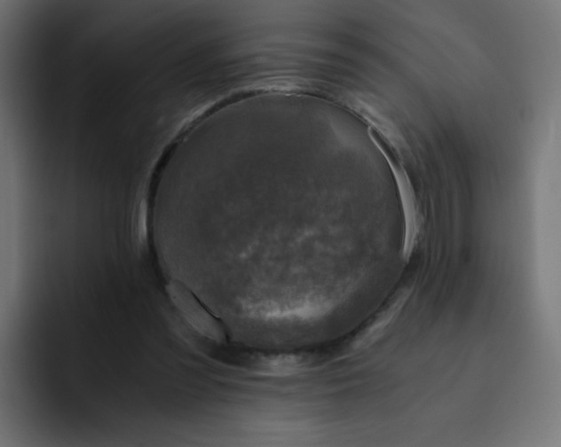 X0000093120301200710031339