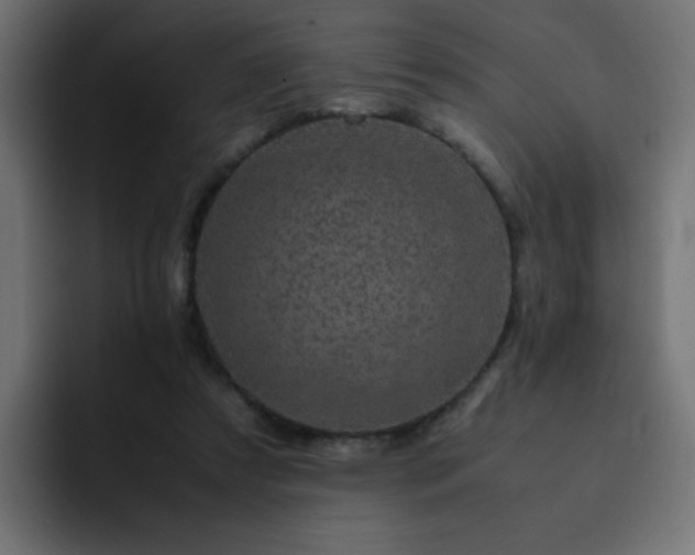 X0000093120305200710031339