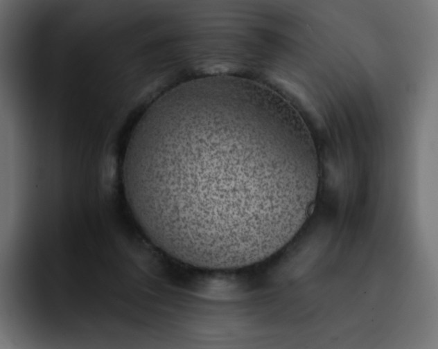 X0000093120308200710031338