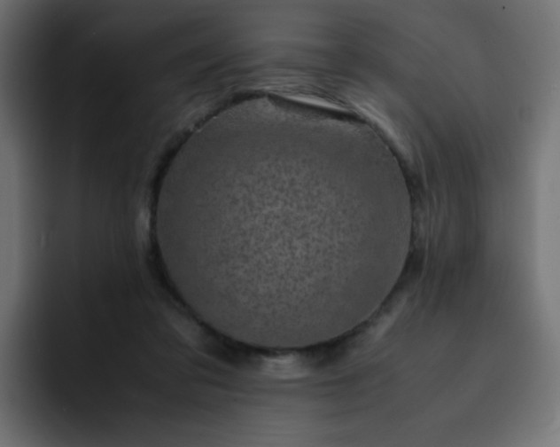 X0000093120309200710031338