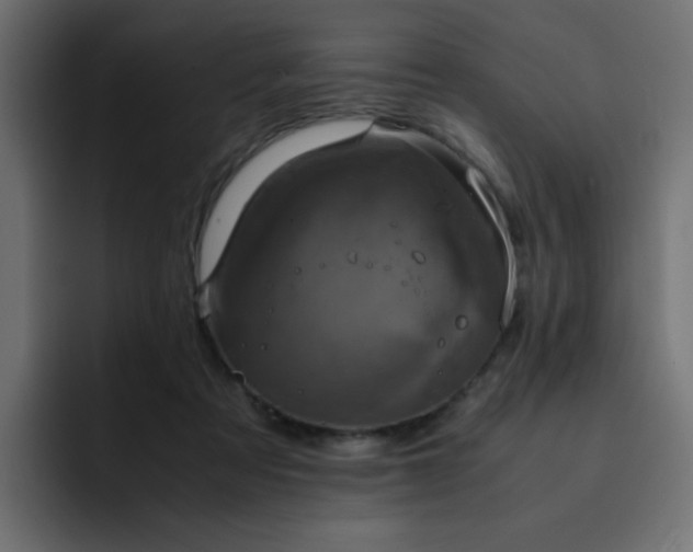 X0000093120313200710031338