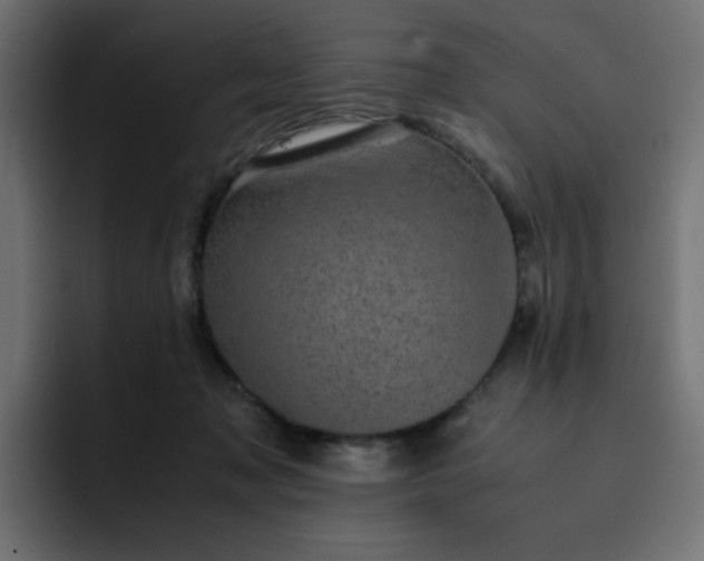 X0000093120317200710031338