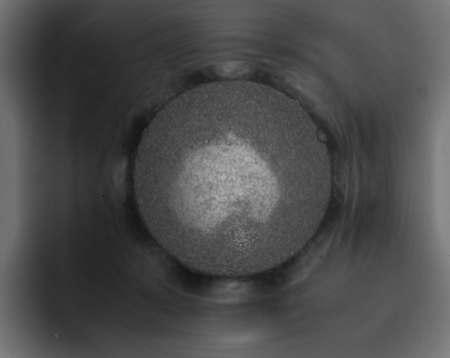 X0000093120319200710031338