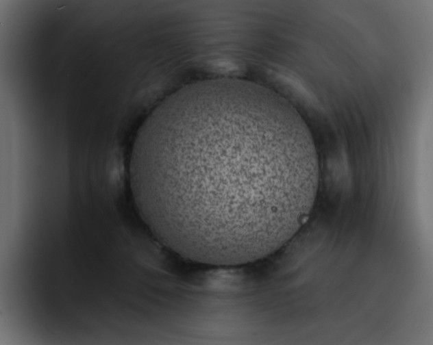 X0000093120320200710031338