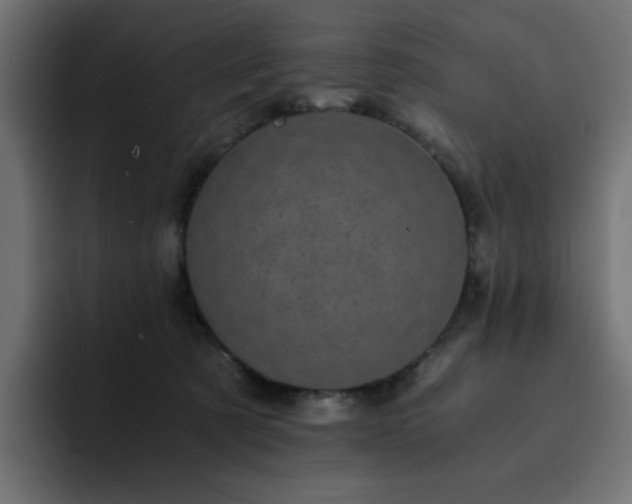 X0000093120321200710031338