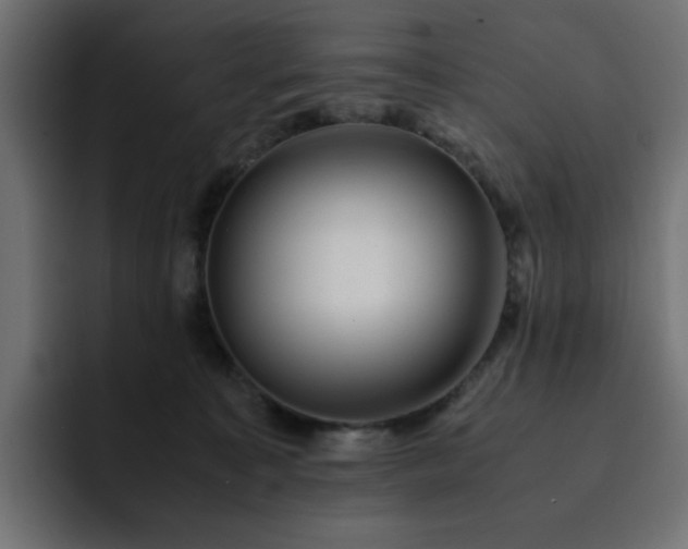 X0000093120323200710031338