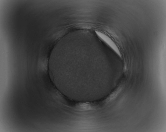 X0000093120325200710031338