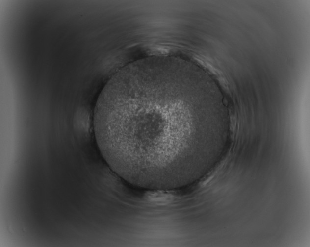 X0000093120331200710031338