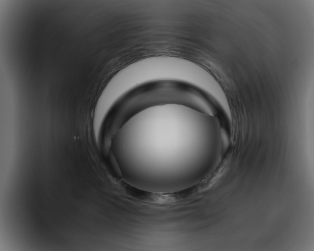 X0000093120333200710031338