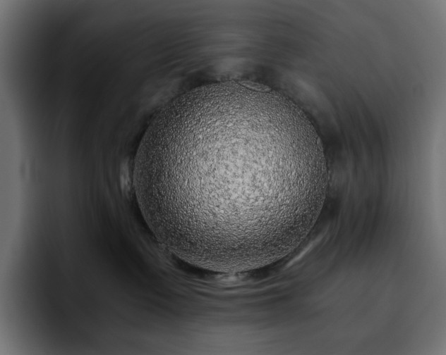 X0000093120335200710031338