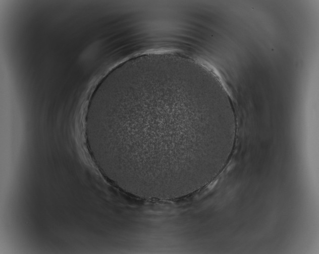 X0000093120337200710031338