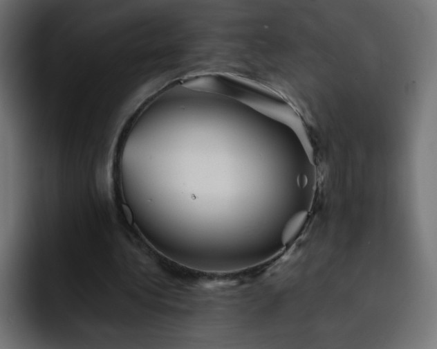 X0000093120340200710031338
