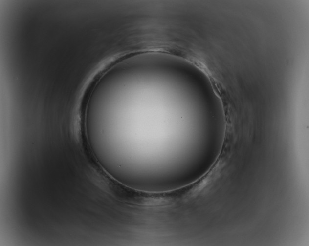 X0000093120342200710031338