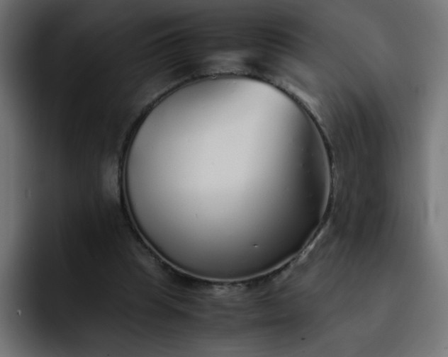 X0000093120345200710031338