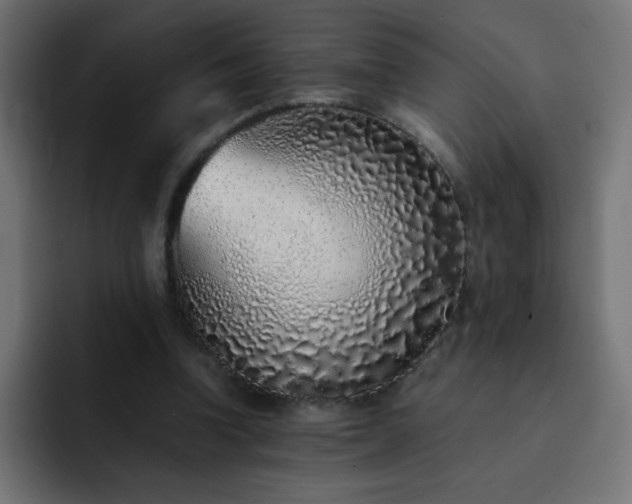 X0000093120346200710031338