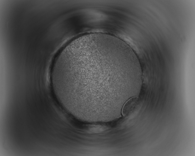 X0000093120347200710031338