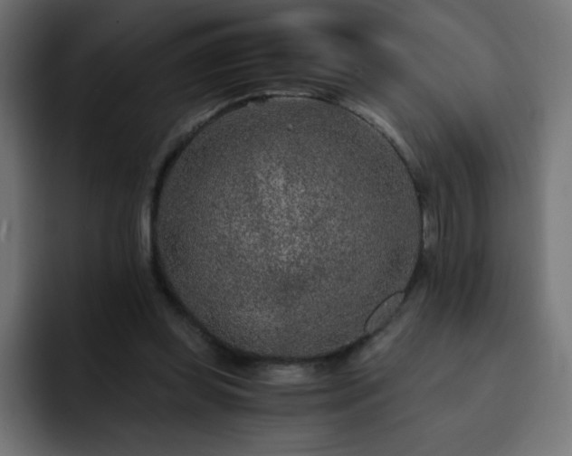 X0000093120349200710031338