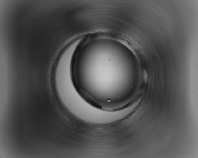 X0000093120350200710031338
