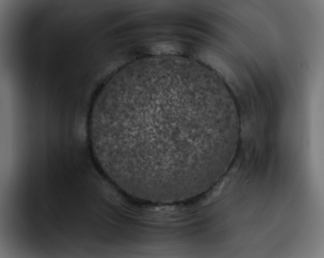 X0000093120353200710031338