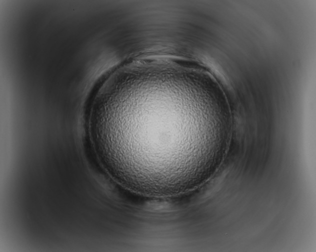 X0000093120354200710031338
