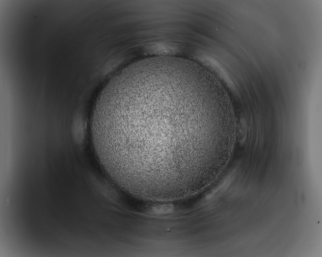 X0000093120355200710031338